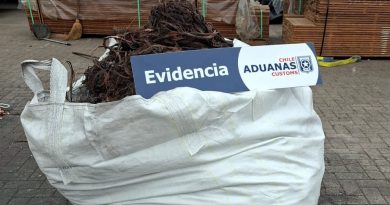 Fiscalización de Aduana en Arica evita exportación ilegal de 429 kilos de cobre robado