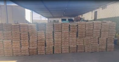 Carabineros detiene a conductor que transportaba cargamento de huevos, cigarrillos y queso ingresados de contrabando*