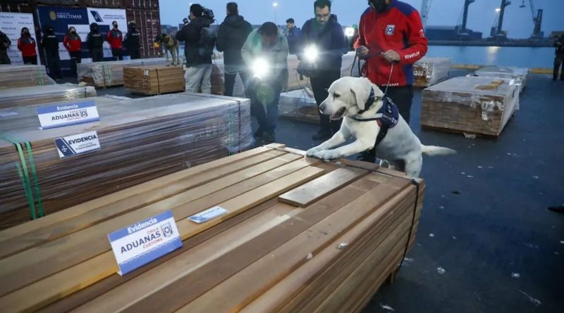 Golpe histórico al narcotráfico marítimo: incautan más de 100 toneladas de droga en Arica