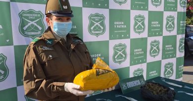OS-7 de Carabineros incauta más de 63 kilos de droga en la Ruta A-16*