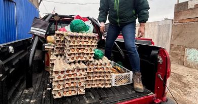Operativo en Alto Hospicio deja cuatro detenidos y decomiso de más de 2 mil huevos