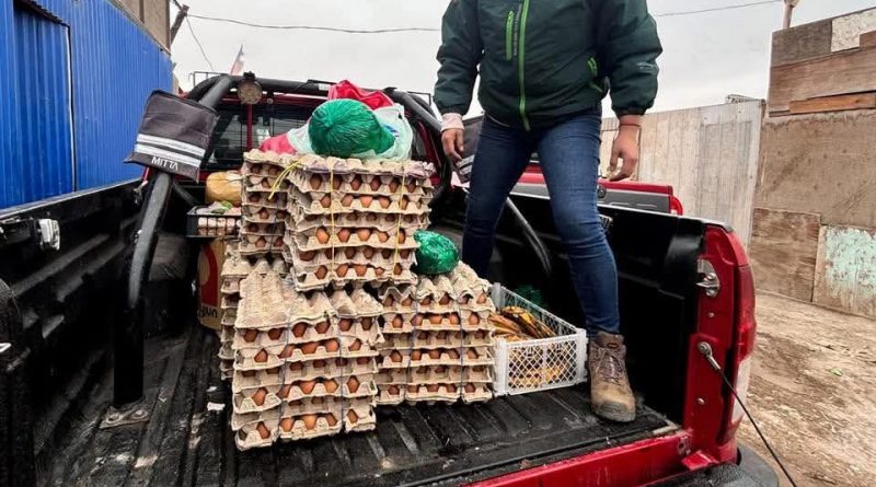 Operativo en Alto Hospicio deja cuatro detenidos y decomiso de más de 2 mil huevos Operativo en Alto Hospicio deja cuatro detenidos y decomiso de más de 2 mil huevos