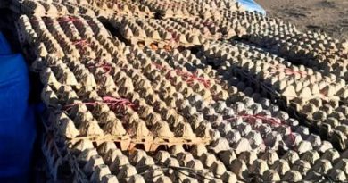 Tarapacá: Carabineros interceptan camión con contrabando de alimentos y cigarrillos en Ujina