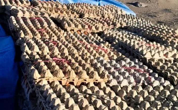 Tarapacá: Carabineros interceptan camión con contrabando de alimentos y cigarrillos en Ujina Tarapacá: Carabineros interceptan camión con contrabando de alimentos y cigarrillos en Ujina