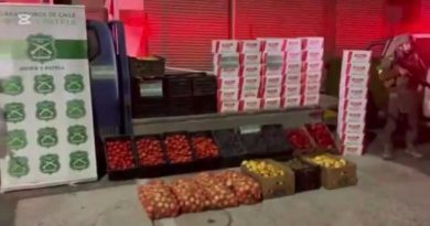 Carabineros intercepta millonario contrabando de productos fitosanitarios en Chungará