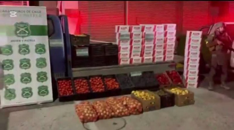Carabineros intercepta millonario contrabando de productos fitosanitarios en Chungará Carabineros intercepta millonario contrabando de productos fitosanitarios en Chungará