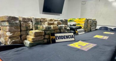 Más de 267 kilos de droga fueron incautados esta semana gracias al trabajo coordinado entre Aduanas y PDI