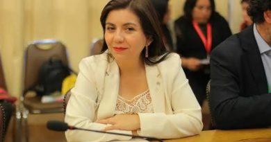 Senadora Danisa Astudillo se refiere a la tramitación de la megarreforma: “Hoy ganó el ministro Quiroz, hoy ganó la indolencia de este gobierno”