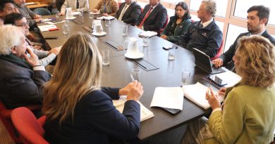 Fortalecen coordinación interinstitucional en Tarapacá para enfrentar la mosca de la fruta