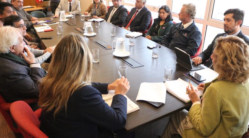 Fortalecen coordinación interinstitucional en Tarapacá para enfrentar la mosca de la fruta Fortalecen coordinación interinstitucional en Tarapacá para enfrentar la mosca de la fruta