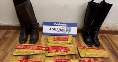 Aduanas detecta más de 4,5 kilos de pasta base y otros ilícitos en controles de Antofagasta
